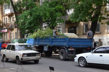 Одесса: Третий день после стихии
