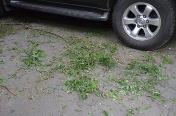 Одесса: Третий день после стихии