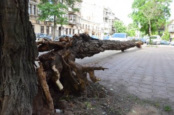 Одесса: Третий день после стихии