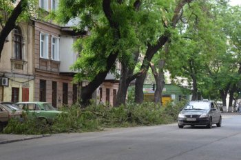 Одесса: Третий день после стихии