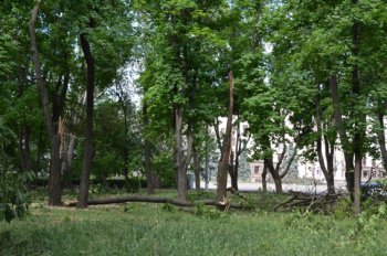 Одесса: Третий день после стихии