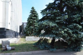 Одесса: Третий день после стихии
