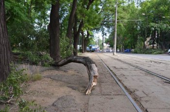 Одесса: Третий день после стихии