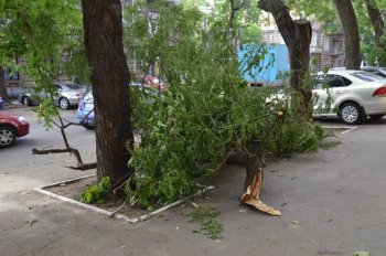 Одесса: Третий день после стихии