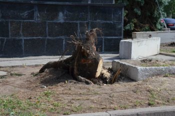 Одесса: Третий день после стихии