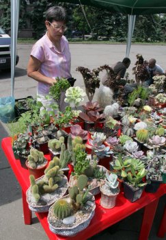 В Одессе — «колючая» выставка