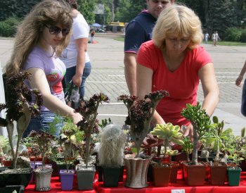 В Одессе — «колючая» выставка