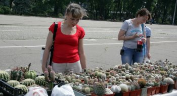 В Одессе — «колючая» выставка