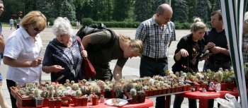 В Одессе — «колючая» выставка