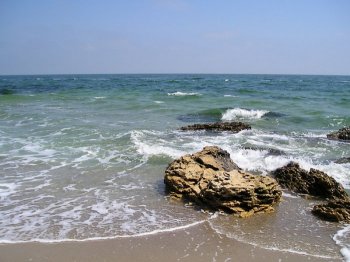 Сегодня температура воды в прибрежных водах Одессы выше, чем в Ялте и Алуште