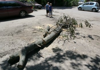 12 дней после стихии (фото)