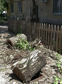 12 дней после стихии (фото)