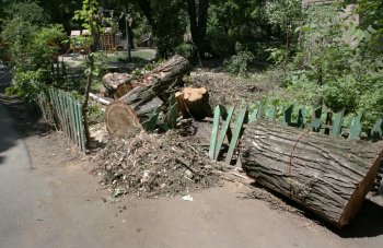12 дней после стихии (фото)