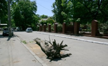 12 дней после стихии (фото)