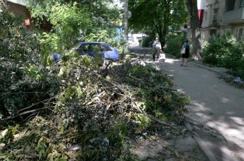 12 дней после стихии (фото)