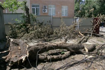 12 дней после стихии (фото)