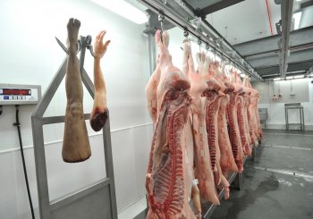 «Глобальные идеологи» морально готовят людей к каннибализму: Павильон человеческого мяса в Лондоне