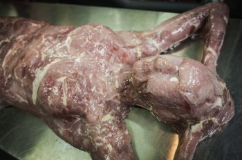 «Глобальные идеологи» морально готовят людей к каннибализму: Павильон человеческого мяса в Лондоне