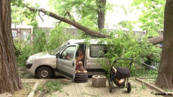 В центре Одессы рухнувшее дерево раздавило крутые иномарки (фото)