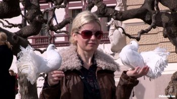 В Одессе бизнесмены плевать хотели на запреты Костусева и его команды