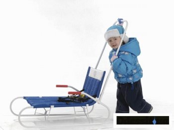 В декабре санки интересовали украинцев больше, чем iPhone 5