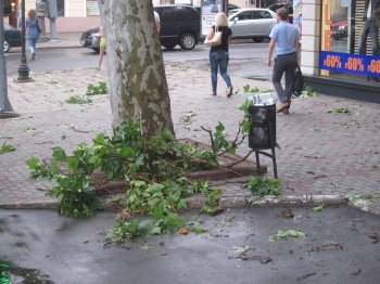 Гроза опровергла слова Костусева