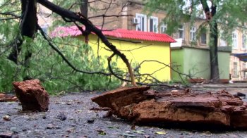 Последствия урагана в Одессе. 2 серия (фоторепортаж)