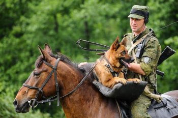 Завтра в Одессе пограничники покажут свое боевое мастерство