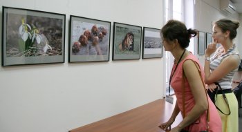 Наши таможенники ударили по миссии Евросоюза фотовыставкой