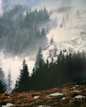 Наши таможенники ударили по миссии Евросоюза фотовыставкой