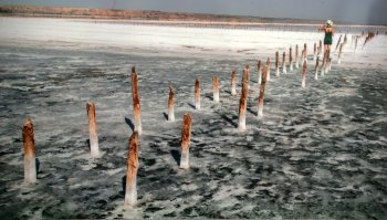 Наши таможенники ударили по миссии Евросоюза фотовыставкой