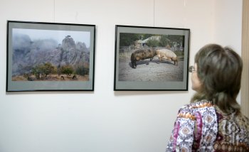Наши таможенники ударили по миссии Евросоюза фотовыставкой