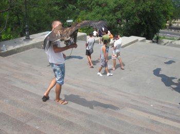 Уличным фотографам плевать на закон, а милиции на уличных фотографов?