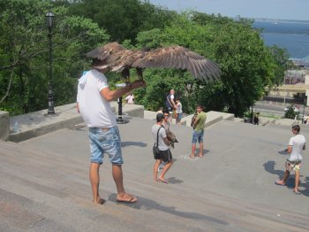 Уличным фотографам плевать на закон, а милиции на уличных фотографов?