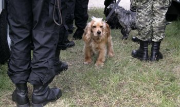 В Одессе проверили готовность мобильных подразделений защищать границу (фото)