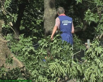 Детскую площадку на Капитана Кузнецова,93 освободили от упавшего дерева