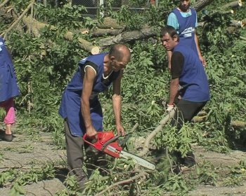 Детскую площадку на Капитана Кузнецова,93 освободили от упавшего дерева