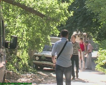 Детскую площадку на Капитана Кузнецова,93 освободили от упавшего дерева