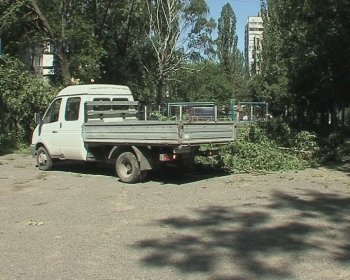 Детскую площадку на Капитана Кузнецова,93 освободили от упавшего дерева