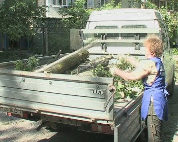 Детскую площадку на Капитана Кузнецова,93 освободили от упавшего дерева