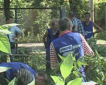 Детскую площадку на Капитана Кузнецова,93 освободили от упавшего дерева