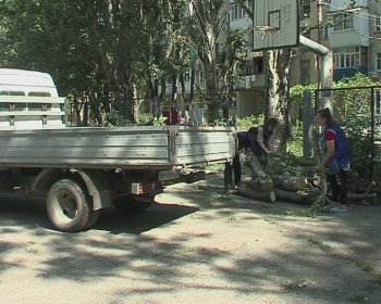 Детскую площадку на Капитана Кузнецова,93 освободили от упавшего дерева