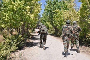 Сводка антитеррористических операций Сирийской армии за 22 июня