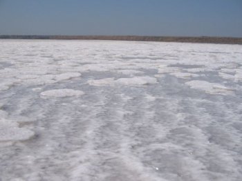 Одесские учёные: «Состояние Куяльницкого лимана - катастрофическое»