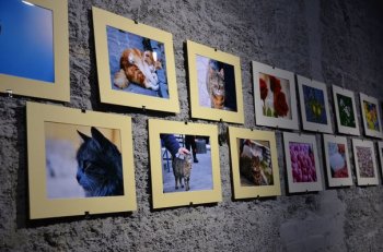 Одесские «КОТы» думают о марте летом
