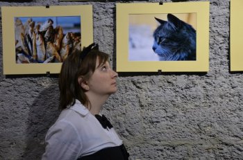 Одесские «КОТы» думают о марте летом