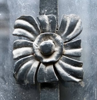 Собачий пир с дворянским размахом в памятнике архитектуры