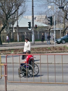 Заболотные попрошайки-камикадзе