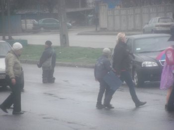 Заболотные попрошайки-камикадзе