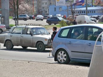 Заболотные попрошайки-камикадзе
